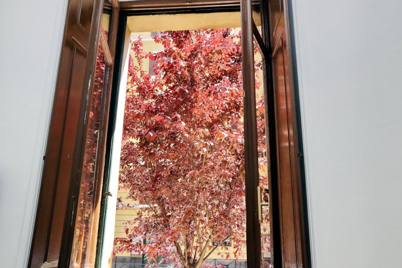 רומא 4Bnb - Quiriti Delightful Apartment מראה חיצוני תמונה